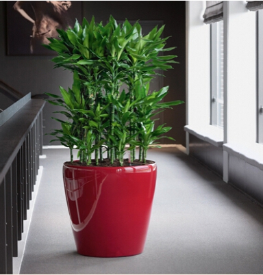 自灌花盆