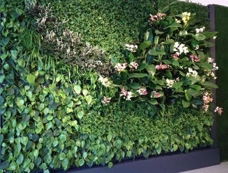 绿植墙
